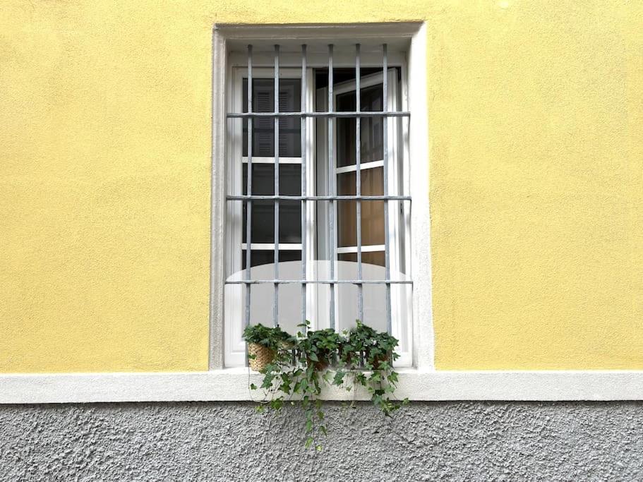 9, Centro